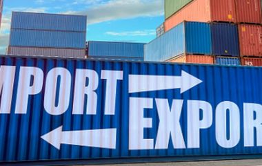 Импортерам: что делать с товаром, застрявшим на таможне или не прошедшим сертификацию