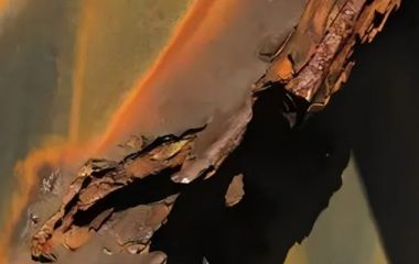 Металл после пожара: как оценить степень повреждения, чтобы не продешевить